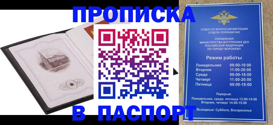 прописка в квартире в Сольцах